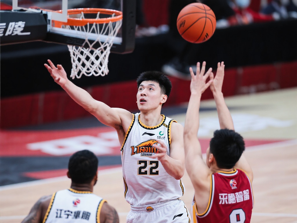 了庄家对概 了庄家对概